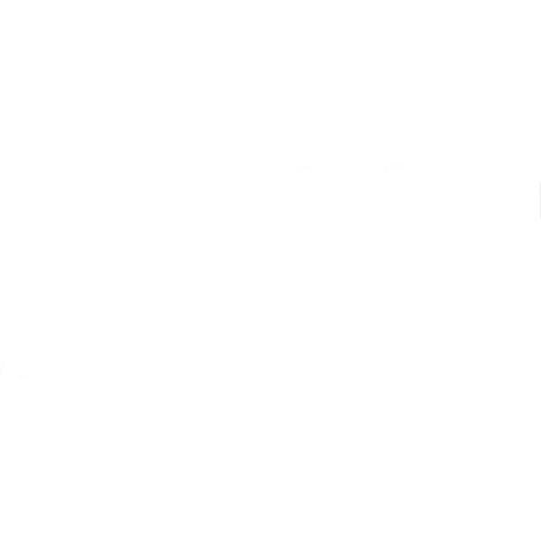 MECANIC WORKER
