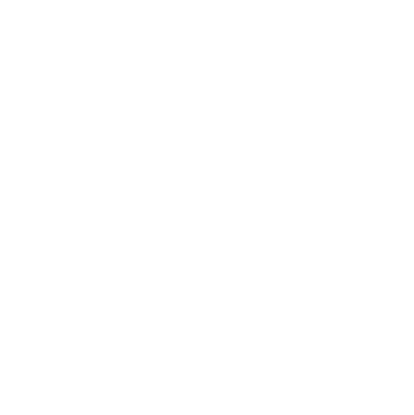 PAPILLES